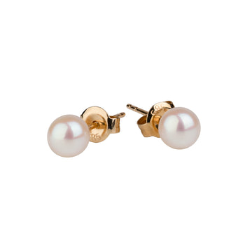 Yellow Gold 5.0-5.5mm Akoya Cultured Pearl Studs