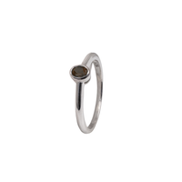 Silver & Oval Cut Bezelled Birthstone Ring